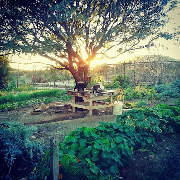 La Villa del Valle by null