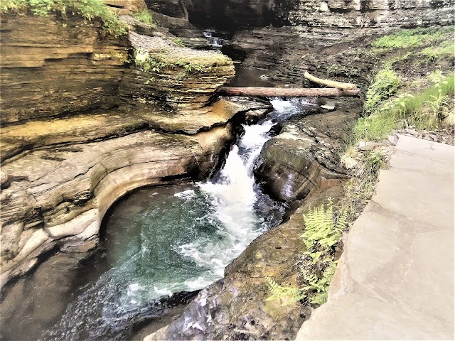 Watkins Glen Gorge Trail