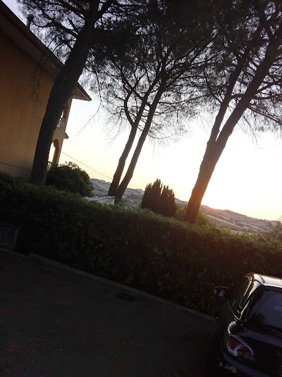 Photos of Ostra... Che Bello