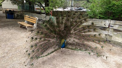 Photos of Popcorn Park Zoo