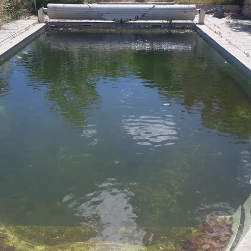 Photo de Idealia Piscine & Jardin