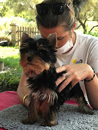 Photo n°11 de Anaïs Bernard ostéopathe animalier OA708 à Arles (Acupuncteur)