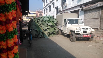 Photos of Hotel Pawan International