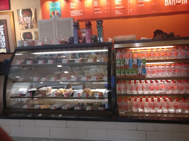 Barista