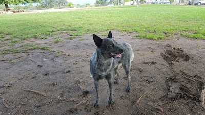 Benton Dog Park - Redding