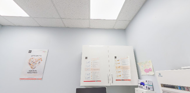Vets4Pets - Leicester Central - Veterinarian