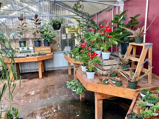 Town & Country Gardens Gallery - United States