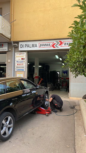 Gommista Di Palma