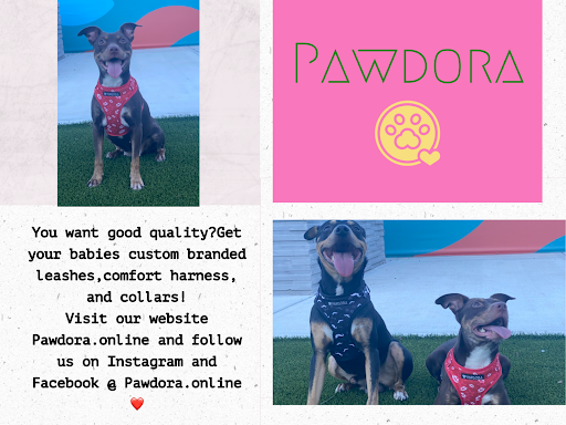 Pawdora - Visual