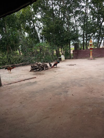Photos of សាច់អាំងភូមិយើង