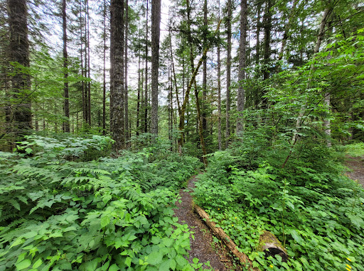 Dingford Creek Trailhead - Thumbnail