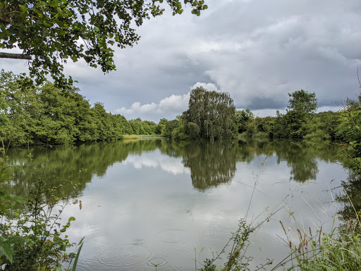 Lambs Pool - Visual