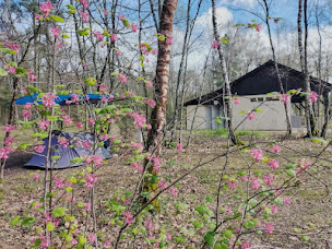 Photo n°12 de Camping La Calanque à Saint-Fargeau (Terrain de camping)