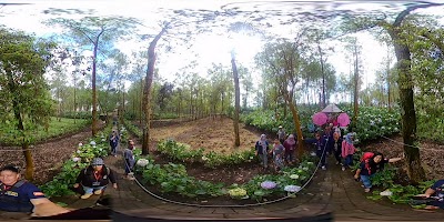 Photos of Taman Hortensia