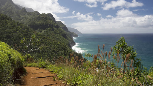 Upper Trail PT - Visual