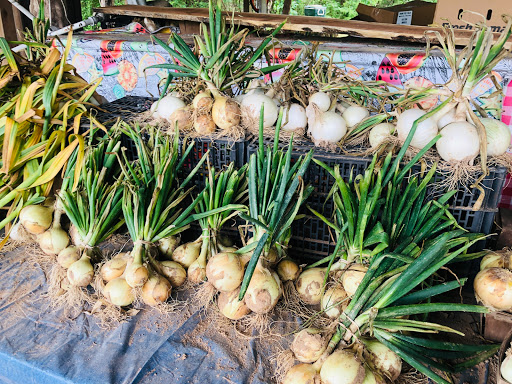 Duck Creek Produce - Thumbnail