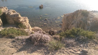 Photos of Montaza Palace