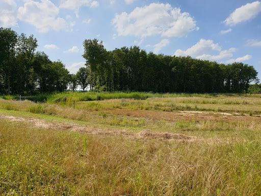Natuurgebied Koeweiden - Thumbnail