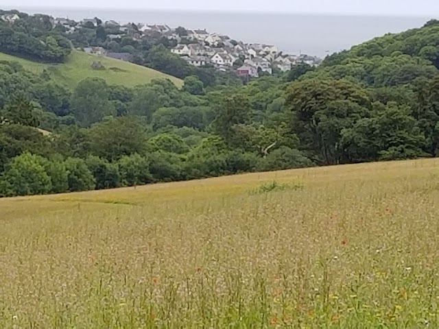 The Lost Gardens of Heligan