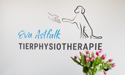 Tierphysiotherapie Eva Astfalk - Thumbnail