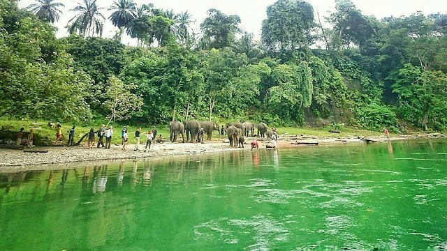 Gunung Leuser National Park