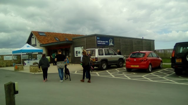 RSPB Bempton Cliffs