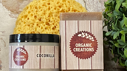 Organic Creations - Visual