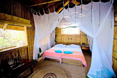 Photos of Mumbo Island Camp
