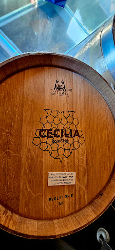 Vini Cecilia Gallery - Italy