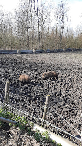 Wildpark Hamm - Thumbnail