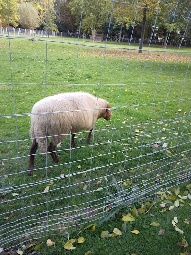 Moerser Freizeitpark Tiergehege - Thumbnail