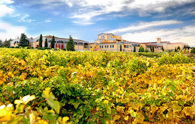 Επαρ.Οδ. Πλαταμώνα - Αδριανής 47, Αδριανή 661 00
