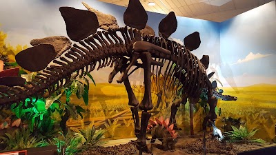 Photos of National Dinosaur Museum