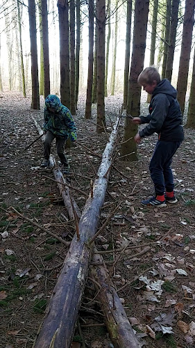 Opinii despre Kundby Friskole & Børnehus în Holbæk - Skole