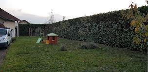 Photo n°15 de Nature Innov à Béligneux (Paysagiste)