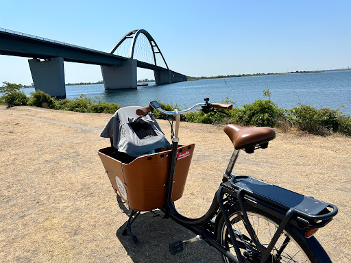 Sunny Bike