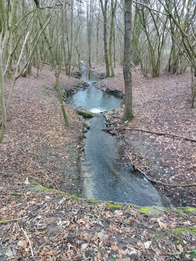 Dellwiger Bach