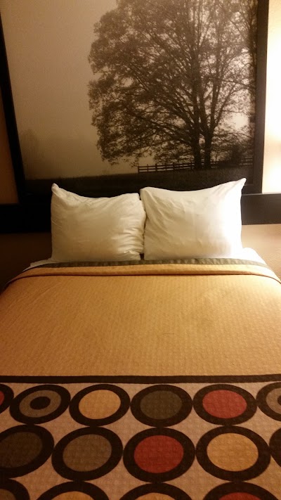 lodging