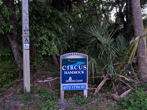 Circus Hammock - Visual
