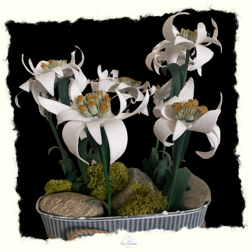 Fiori Fantastici - Thumbnail
