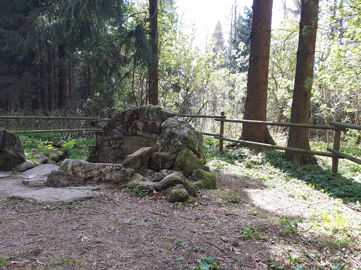 Lütterquelle - Visual