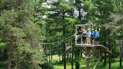 Wisp Resort Mountain Coaster