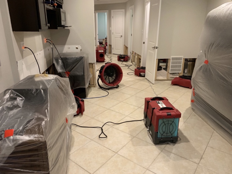 PuroClean of Alexandria photo