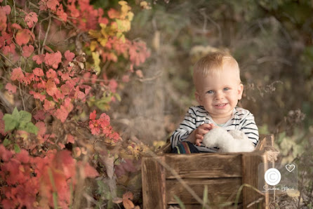 Susanne Henris - Fotografin rund um's Baby & Schwangerschaft - Grafendorf bei Hartberg