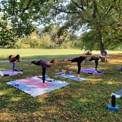 Yoga in the Park Asheville