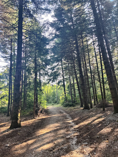 Monte Mitola - Visual