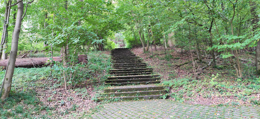 Waldzimmer - Thumbnail