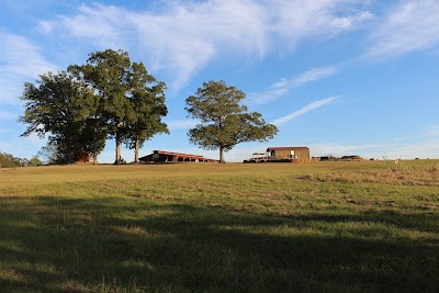 Anderson Farms Pumpkin Patch