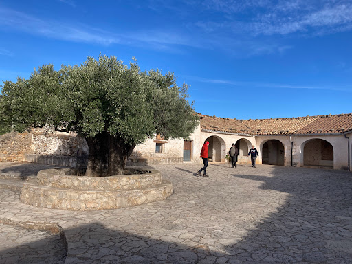Torrocelles - Visual