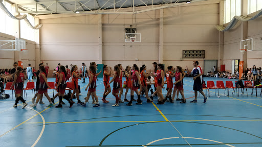 Pabellón Polideportivo Municipal de Castejón de Sos. - Thumbnail